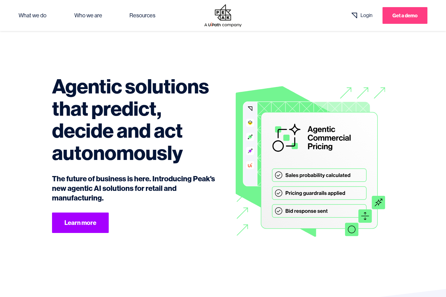 Peak AI website preview