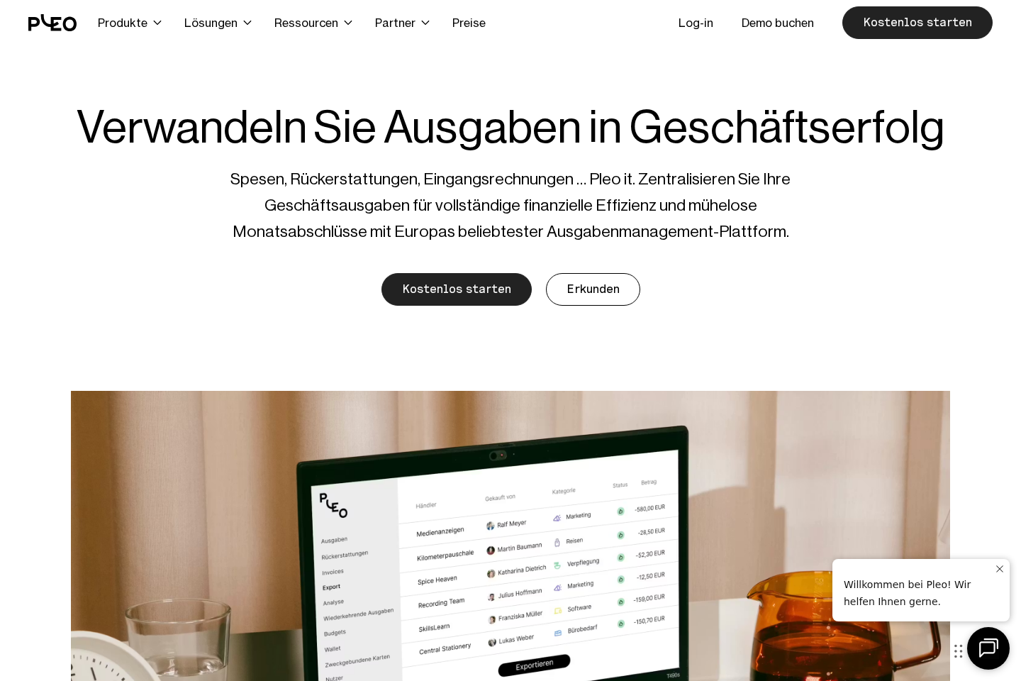 Pleo website preview