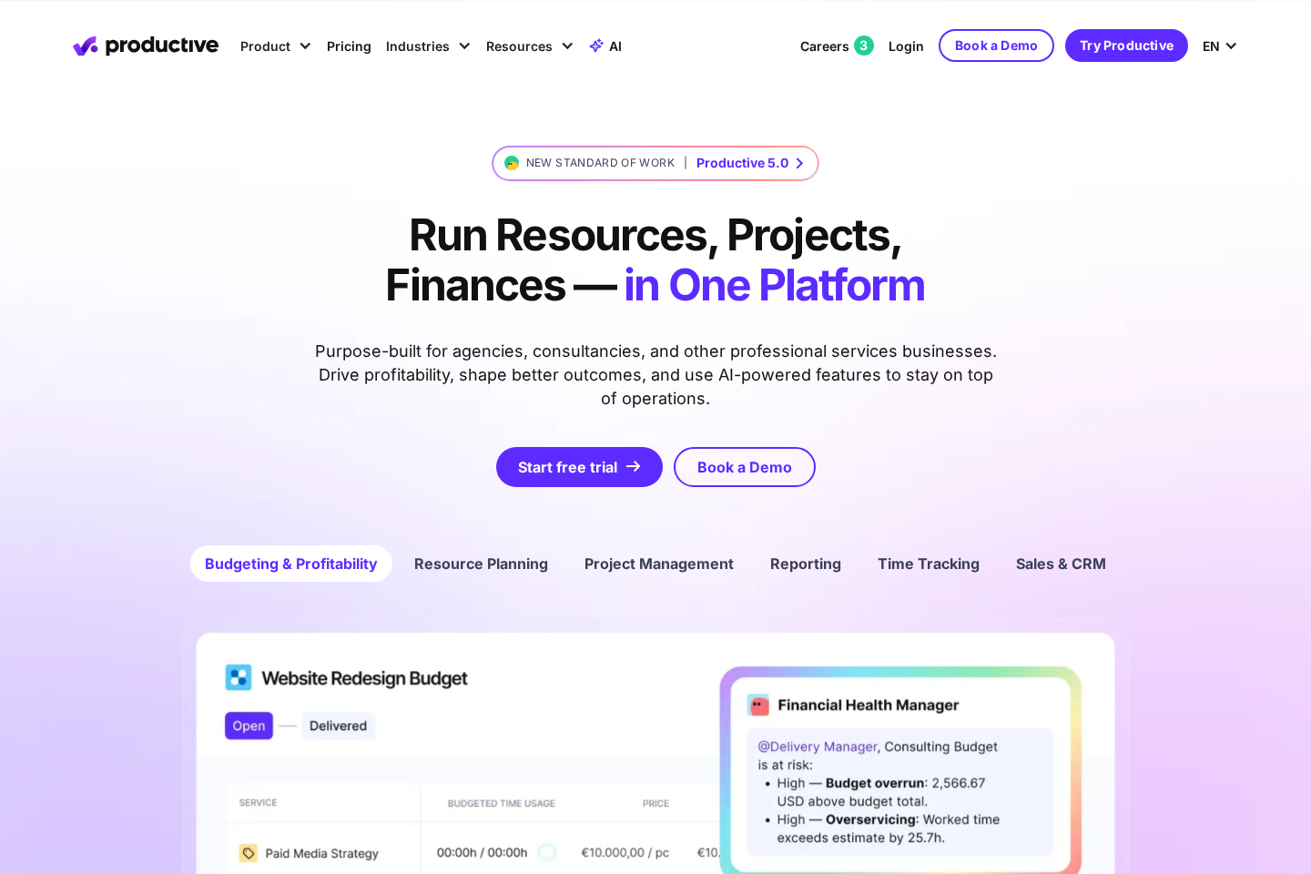 Productive website preview