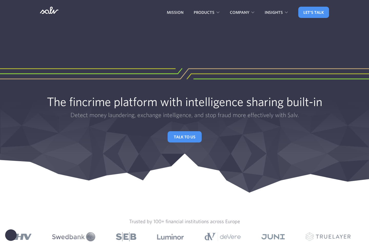 Salv website preview